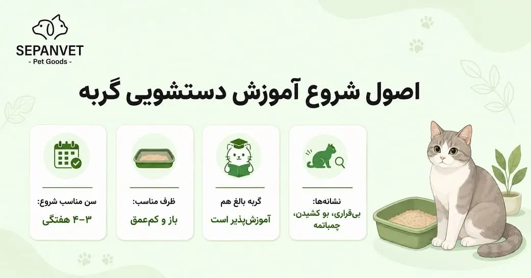 اصول شروع آموزش دستشویی گربه