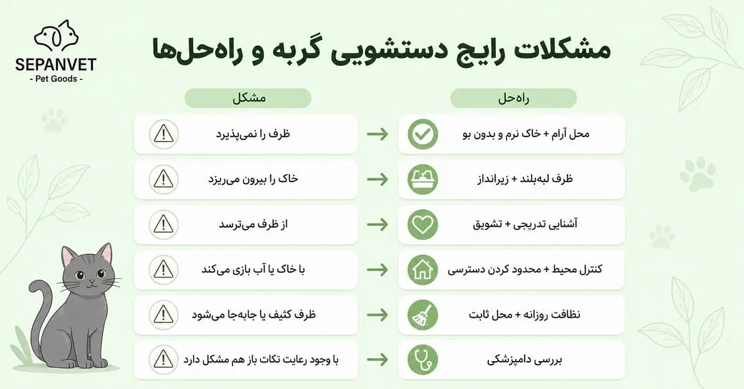 مشکلات رایج در دستشویی گربه
