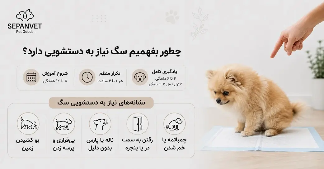 نشانه های نیاز سگ به دستشویی