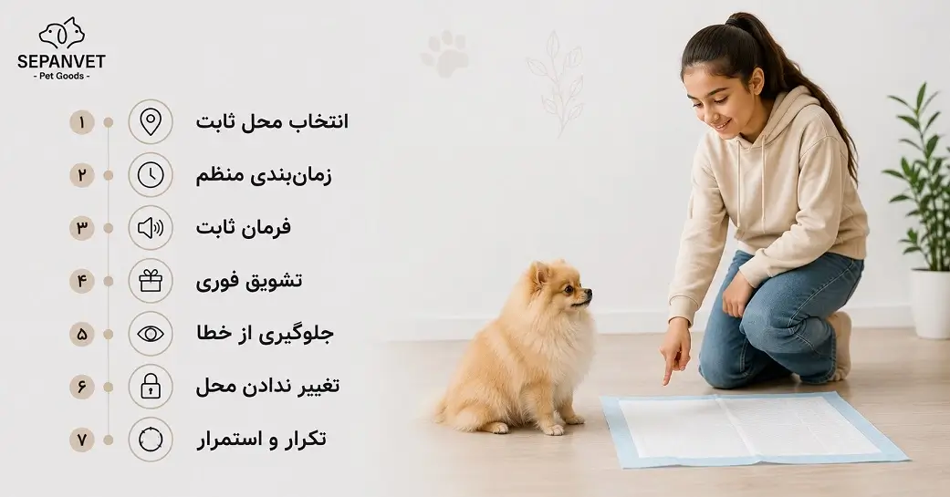 مراحل آموزش دستشویی سگ