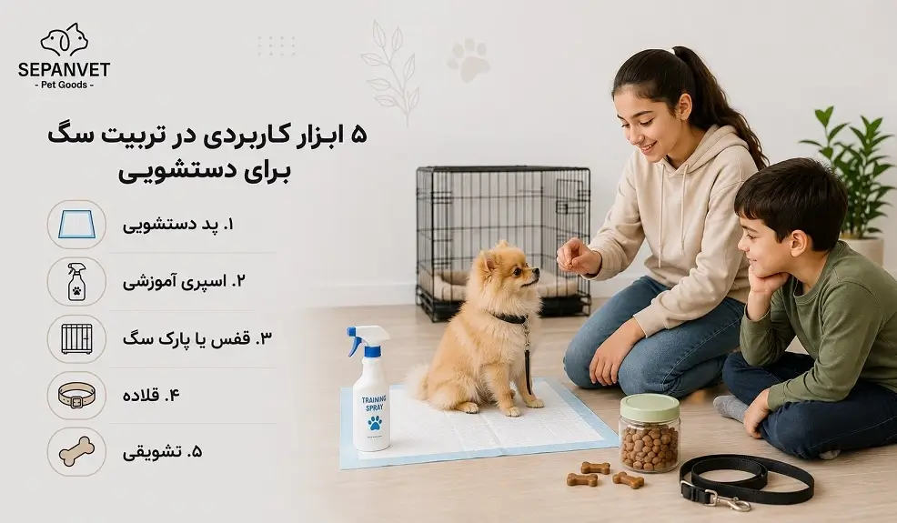 ۵ ابزار کاربردی در تربیت سگ برای دستشویی