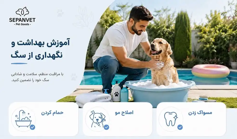 آموزش مراقبت از سگ