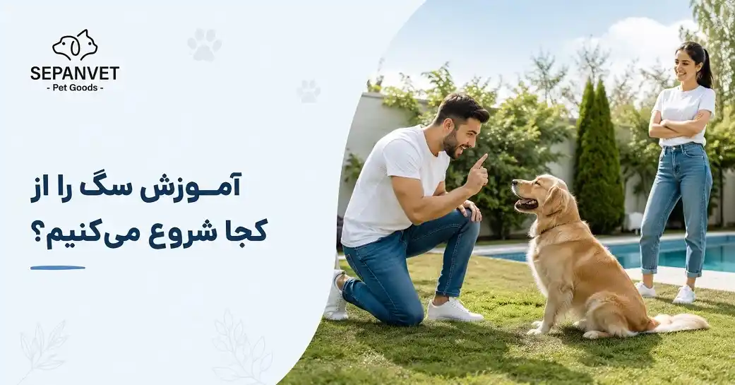 آموزش سگ، راهنمای تربیت سگ