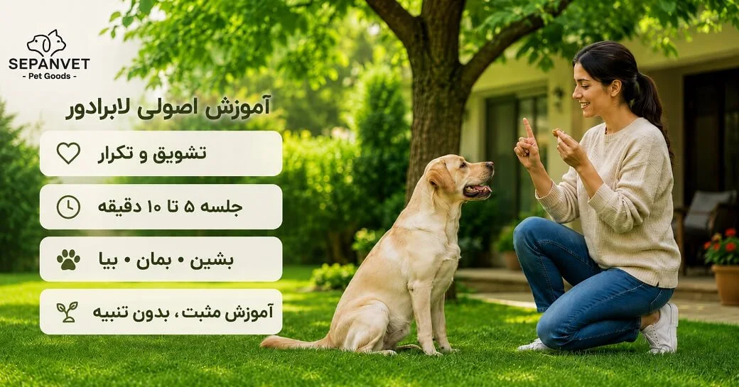 آموزش نگهداری از سگ نژاد لابرادور