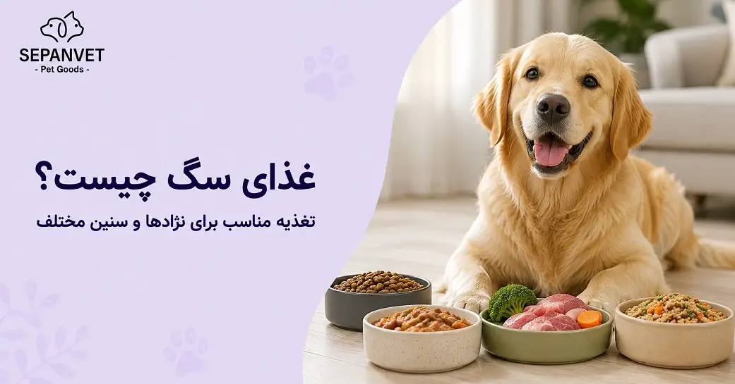 غذای سگ چیست