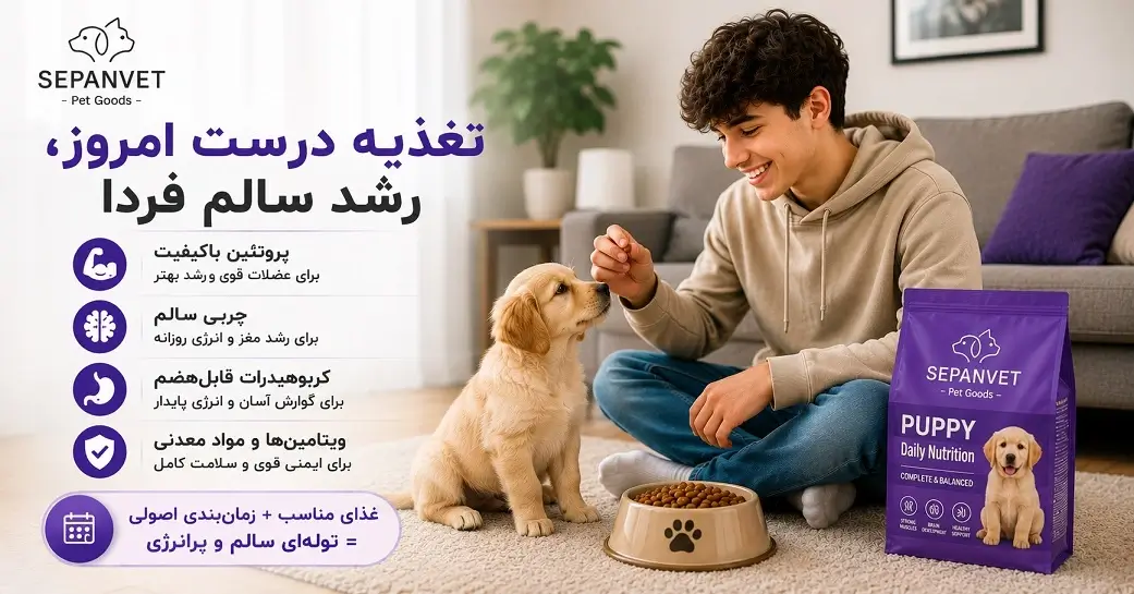 غذای سگ چیست؟ تغذیه مناسب برای نژادها و سنین مختلف