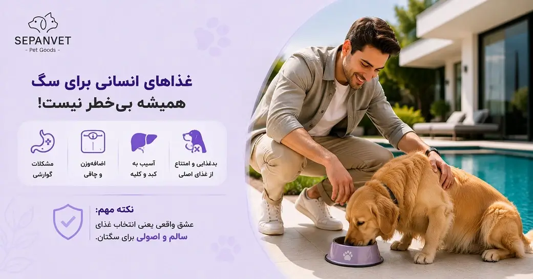 غذای سگ چیست؟ تغذیه مناسب برای نژادها و سنین مختلف