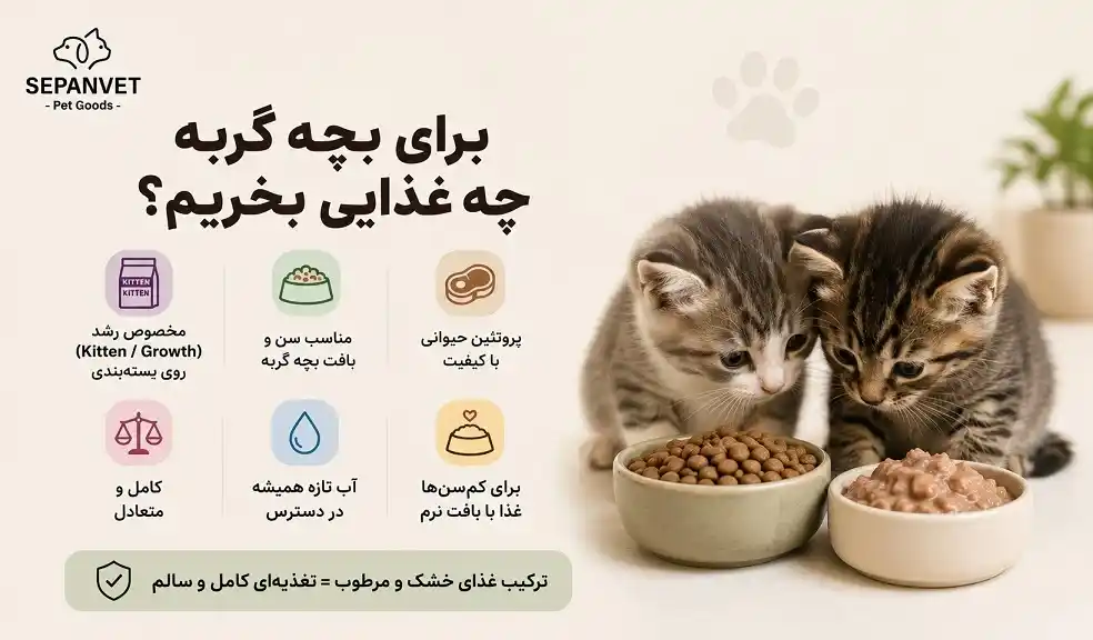 راهنمای خرید غذای بچه گربه