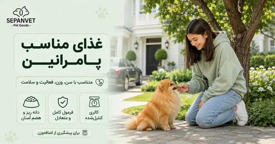 بهترین غذای سگ پامرانین چیست