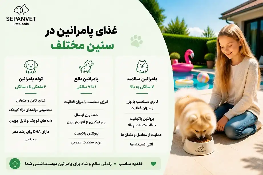 غذای پامرانین در سنین مختلف، غذای توله پامرانین
