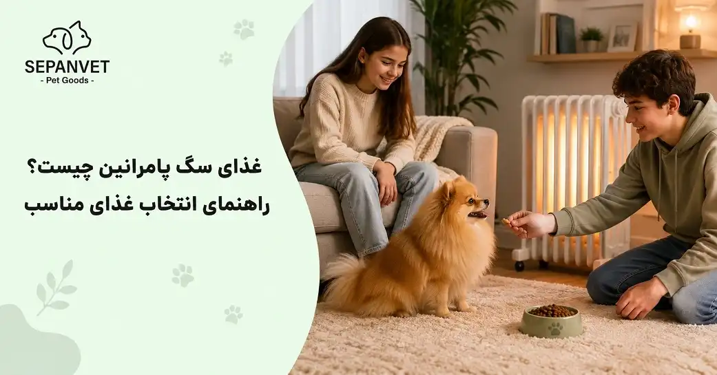 غذای سگ پامرانین چیست