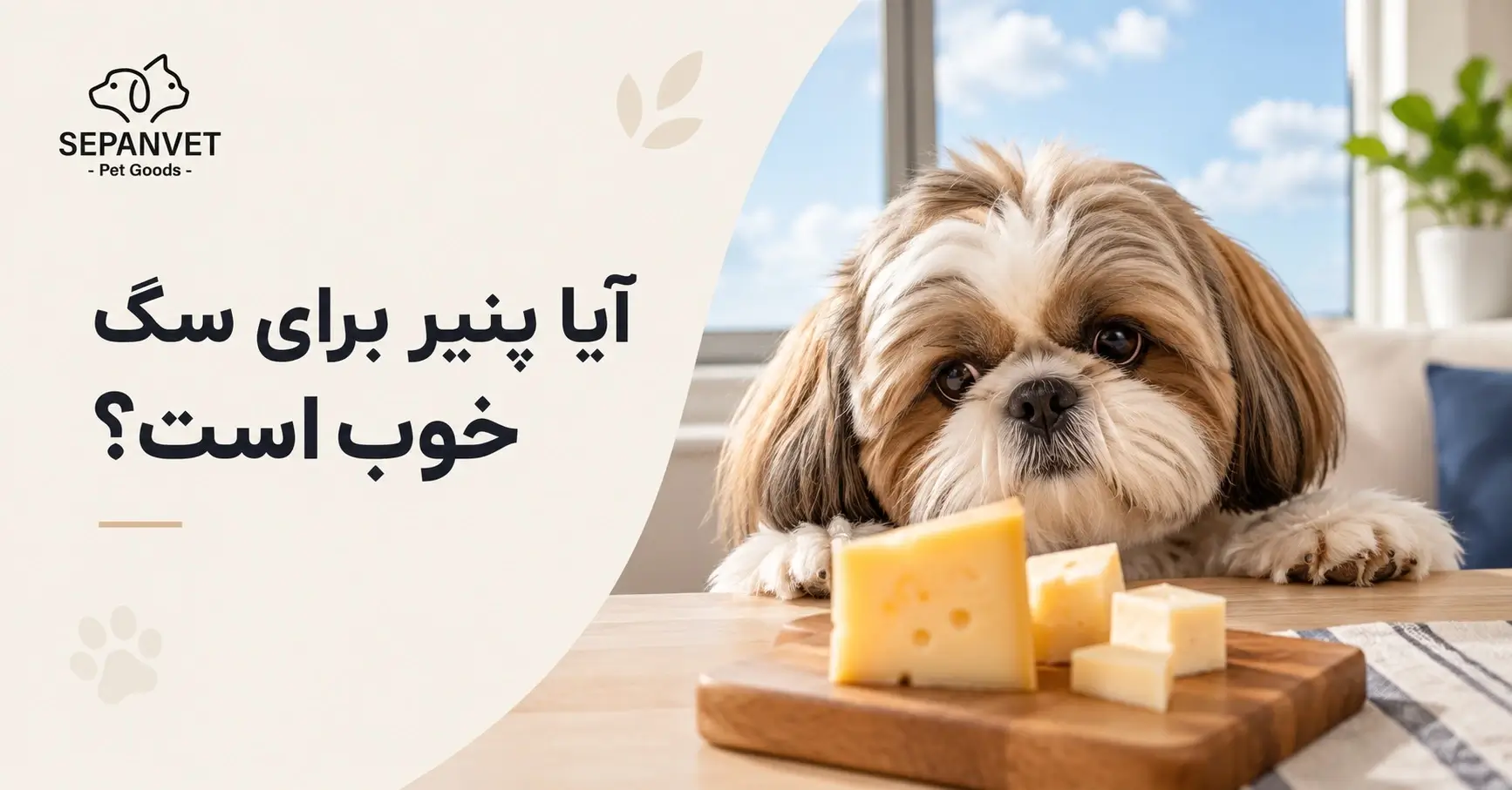 پنیر برای سگ