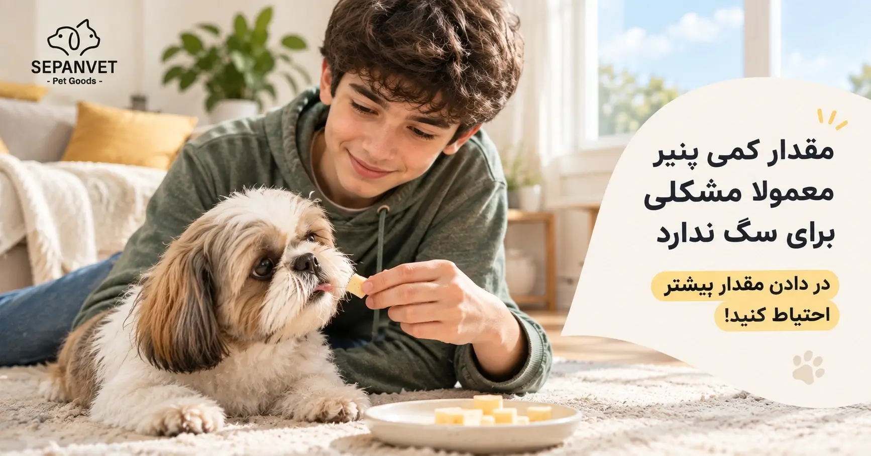 ایا پنیر برای سگ خوب است یا ضرر دارد
