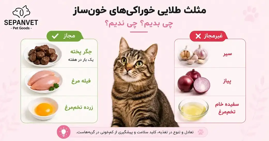 غذای خون ساز برای گربه