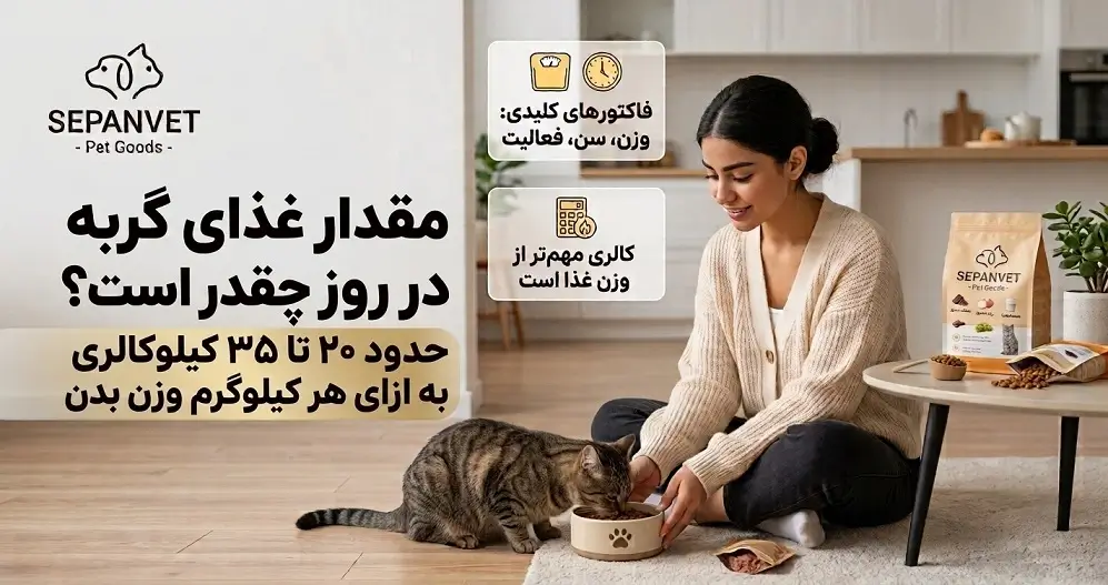 مقدار غذای گربه در روز - میزان غذای روزانه گربه