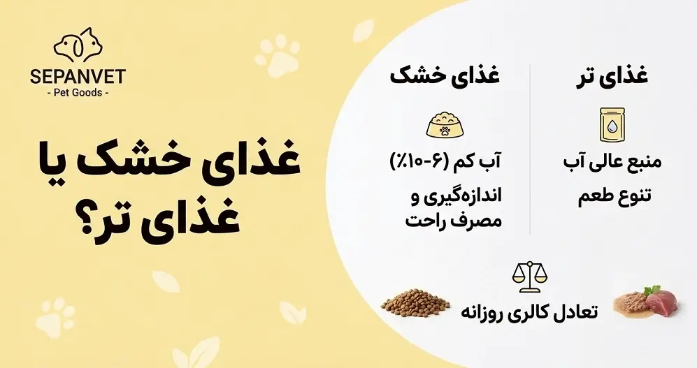 مقدار غذای خشک گربه در روز
