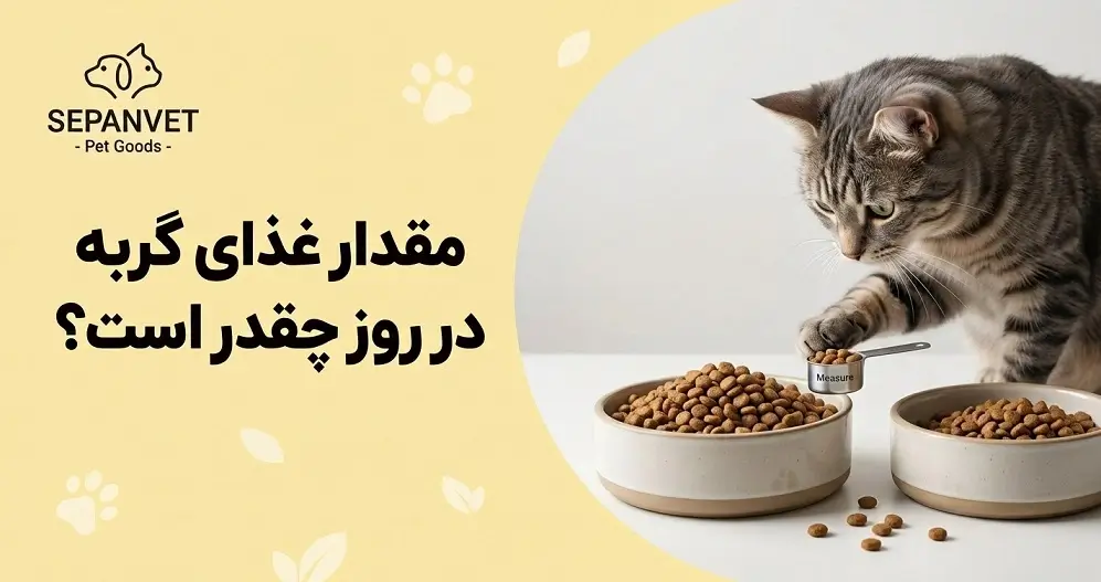 مقدار غذای گربه در روز