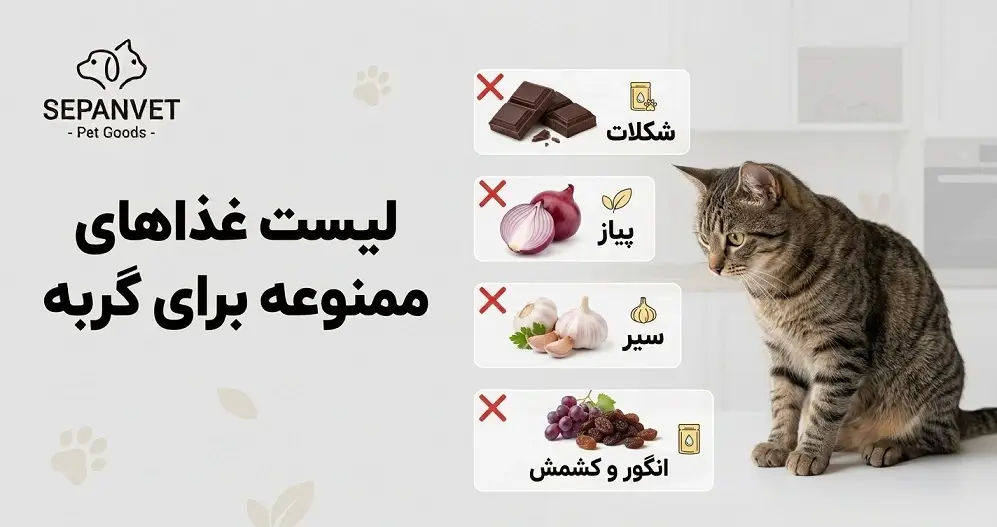 غذاهای مضر و خطرناک برای گربه
