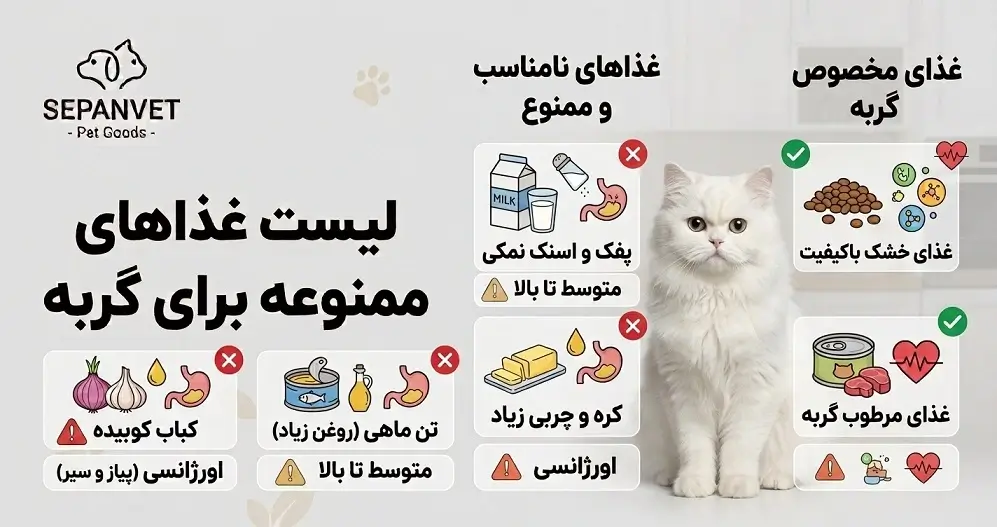 لیست غذاهای ممنوعه برای گربه - غذاهای مضر و خطرناک برای گربه