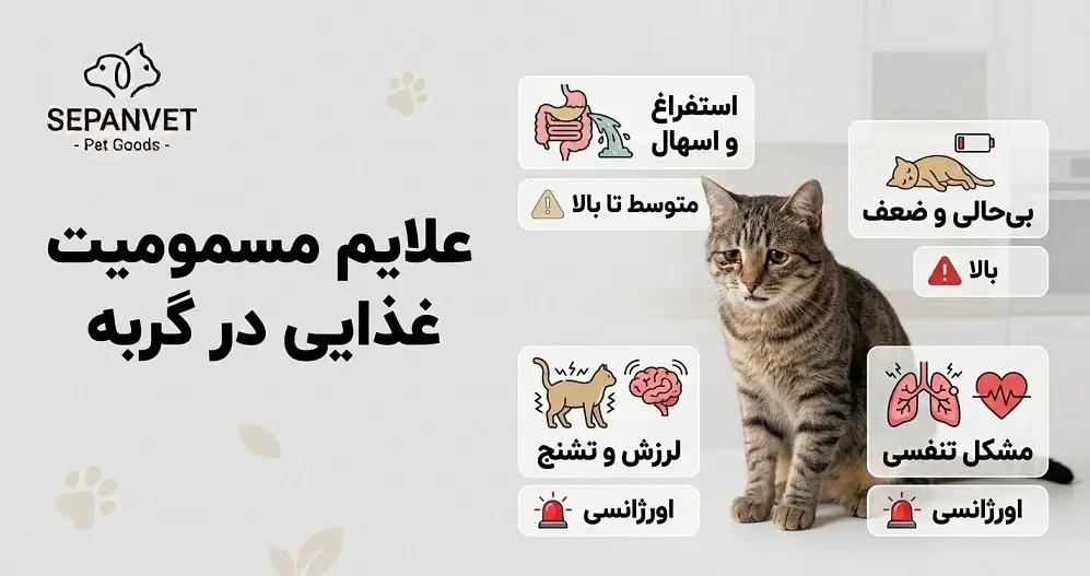علایم مسمویت غذایی گربه