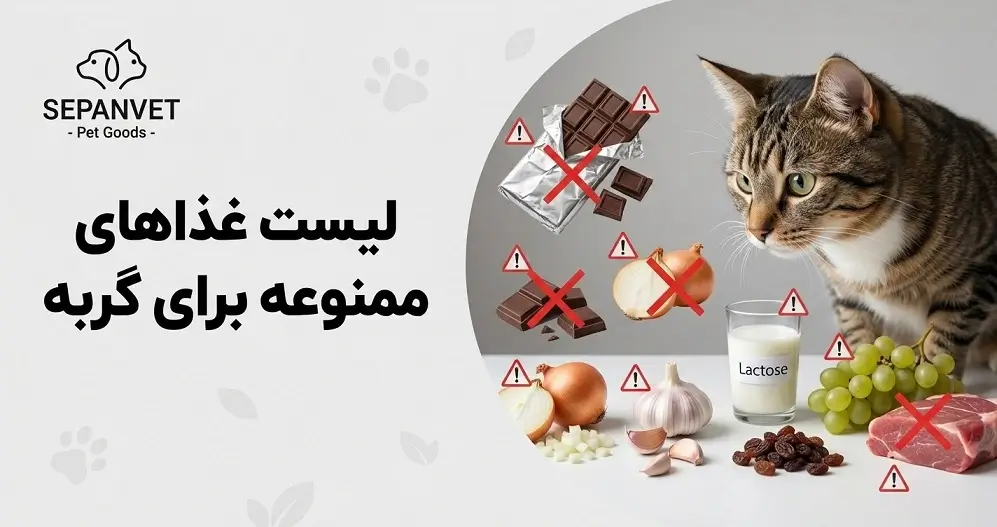 غذاهای ممنوعه برای گربه
