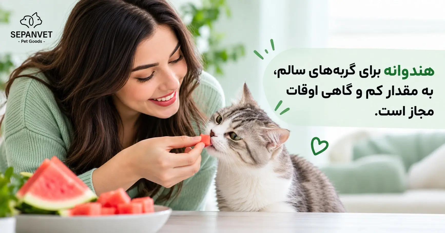 هندوانه برای گربه