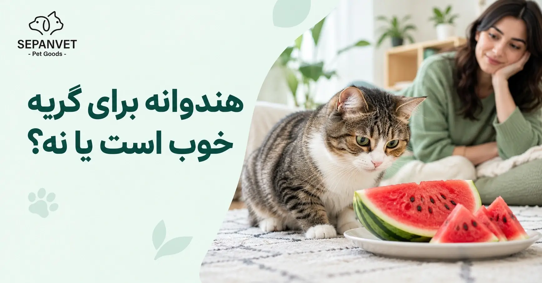 هندوانه برای گربه خوب است یا ضرر دارد